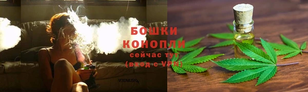 Альфа ПВП Белокуриха